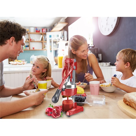 GYÜMÖLCSFACSARÓ MANUÁLIS 8 GYÜMÖLCSFACSARÓ MANUÁLIS - Image 8