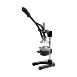 CITRUSFACSARO i563272