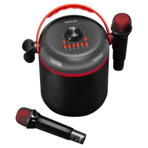 BLUETOOTH HANGSZORO KARAOKE i680671