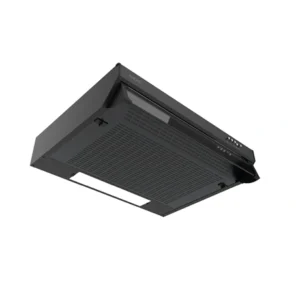 PARAELSZIVO i3101189